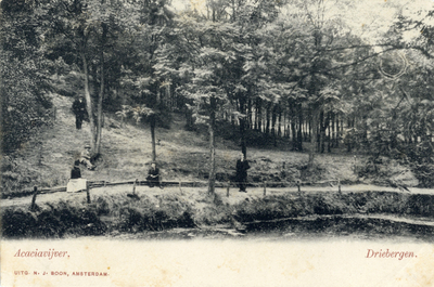 10102 Gezicht op de Acaciavijver in een gemengd bos bij Driebergen. N.B.De gemeenten Driebergen en Rijsenburg zijn per ...